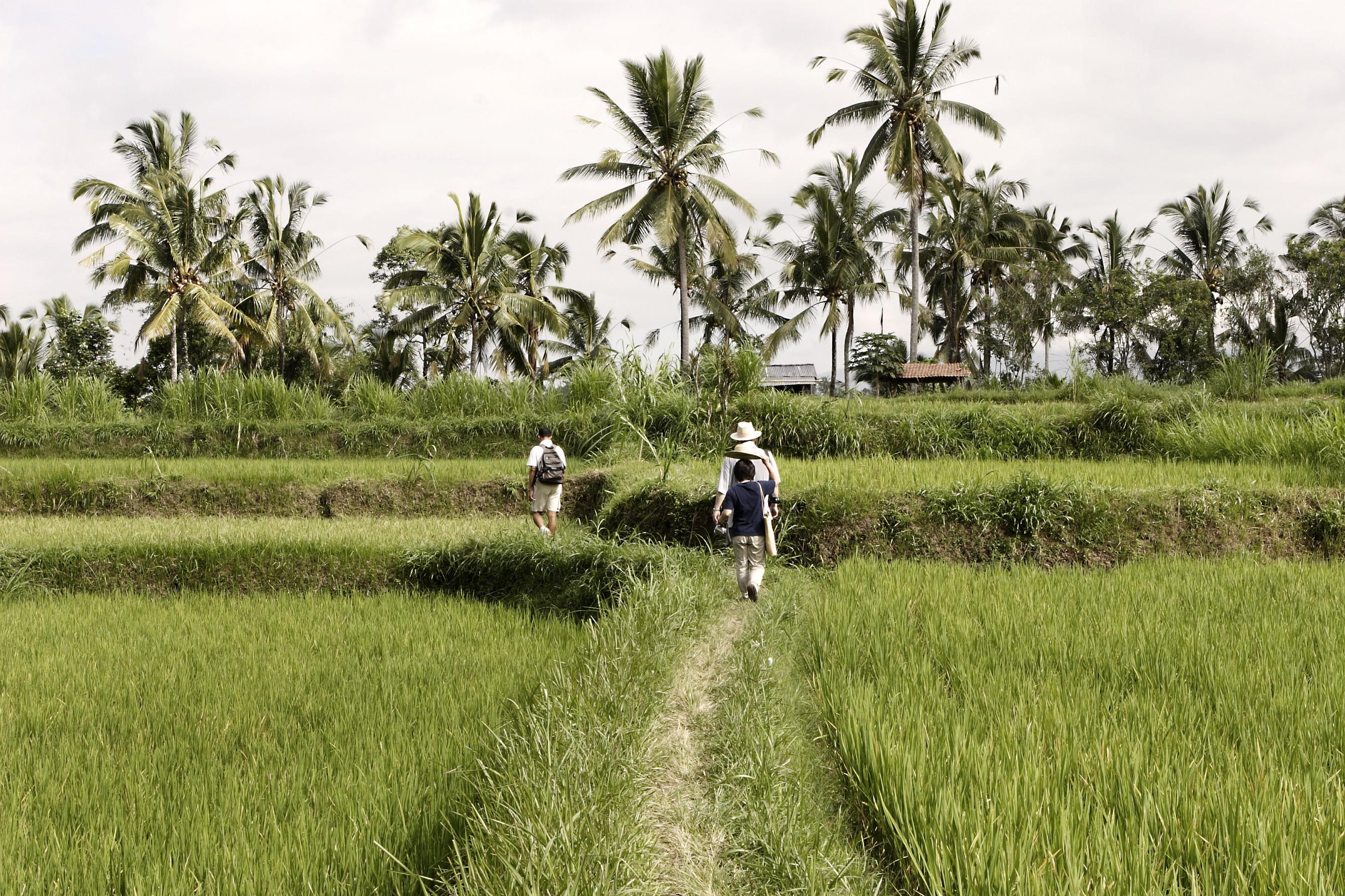 Hanging Gardens Of Bali Убуд Екстериор снимка